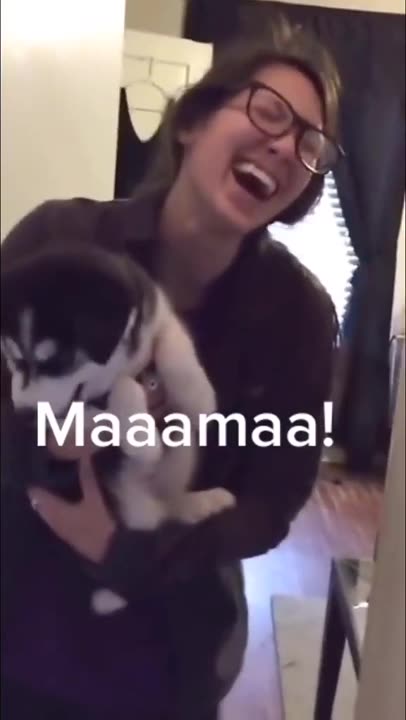 They learn fast... Husky's first words !