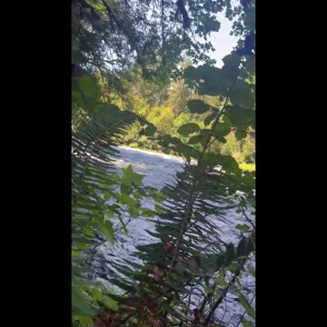 Sounds of nature are so healing, but imagine listening in the EE SYSTEM