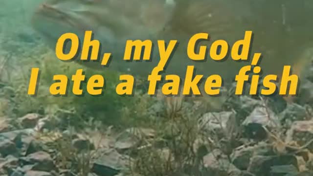 Oh,my God, I ate a fake fish