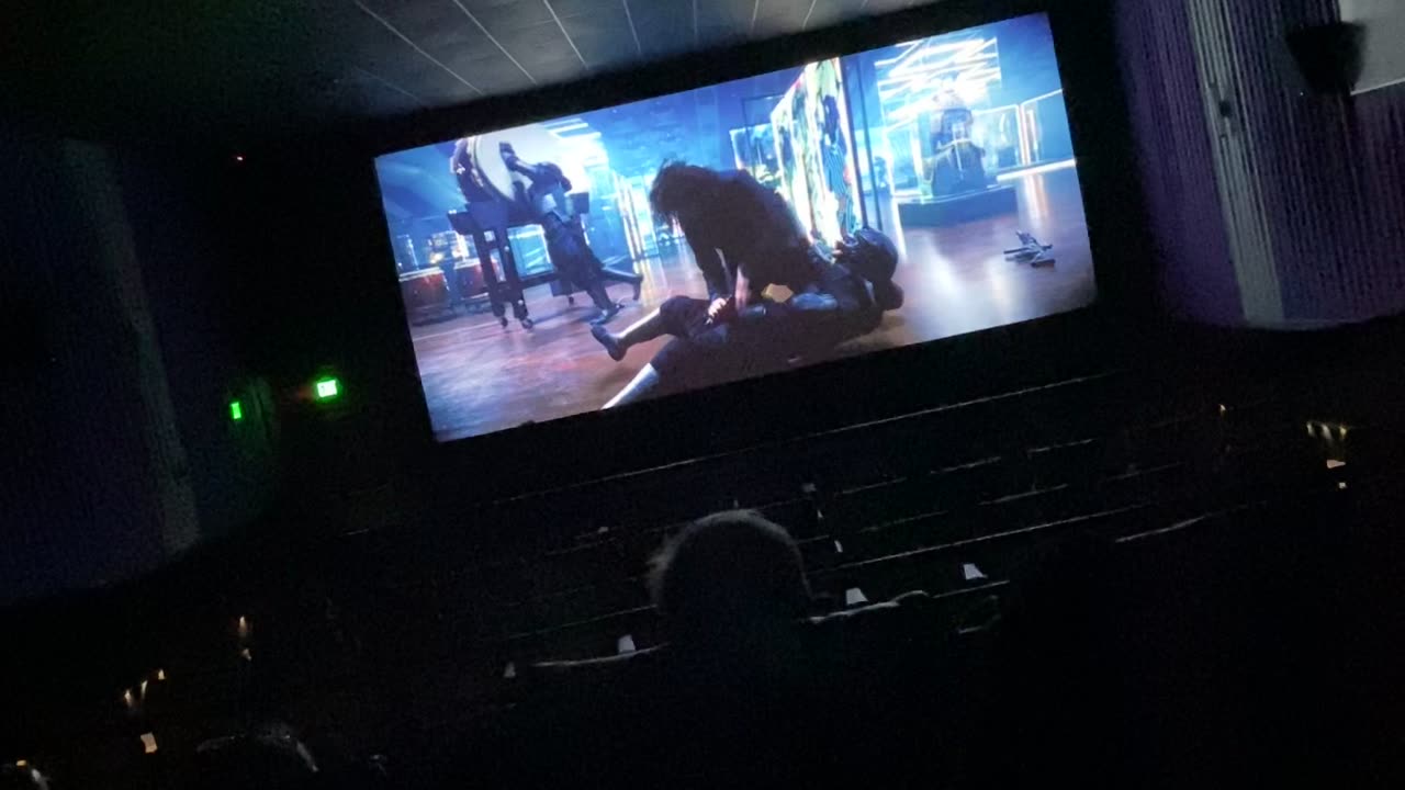 John Wick in Action Pistols, Swords, and Nun-Chucks 🔫⚔️🥋