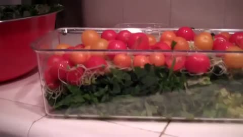 WEIGHT LOSS RECIPES ~ NO FAT MARINATED HERB SALAD - Dec 22nd 2011