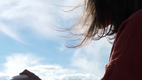 Deus Não Tem Dó de Ninguém...