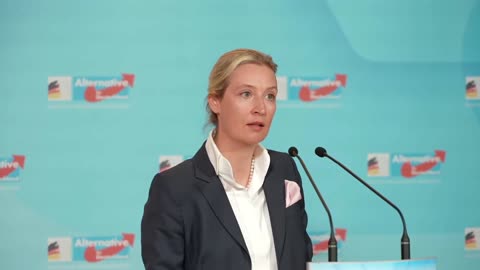 Die inszenierte Schmutzkampagne gegen die #AfD