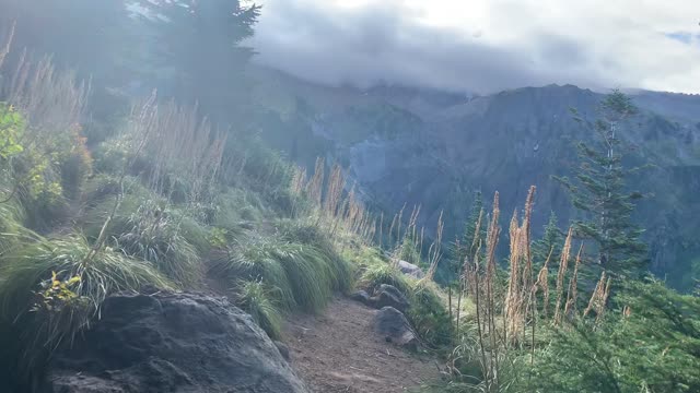 Oregon – Mount Hood – Emerging from Old Growth Forest to Heavenly Mountain