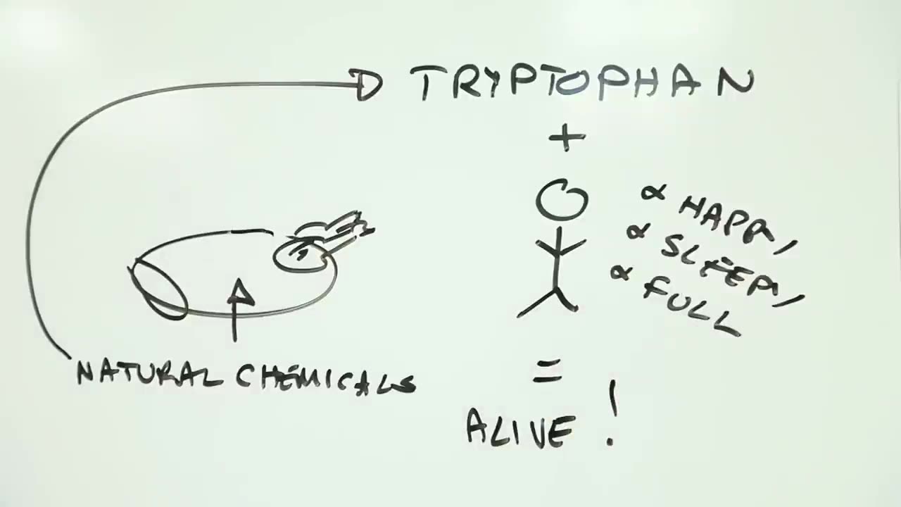 Tofurkey, tryptophan and Thanksgiving Torpor