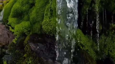 #Nature
