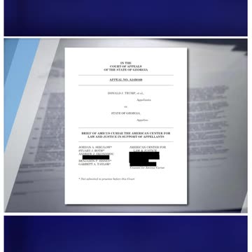 Trump Georgia Case PAUSED Pending Fani Willis Appeal
