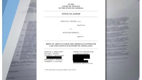 Trump Georgia Case PAUSED Pending Fani Willis Appeal