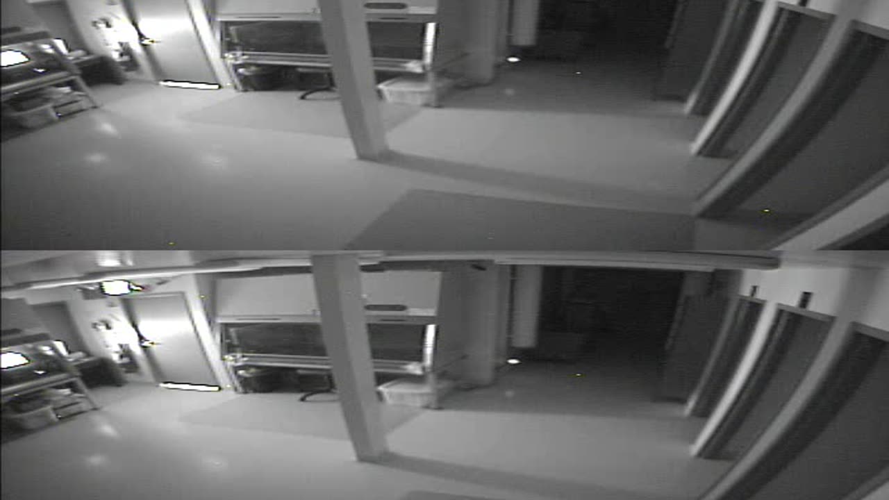 1702CRIB01CribAnalysisArea_2021-01-05_18h05min08s077ms.mp4