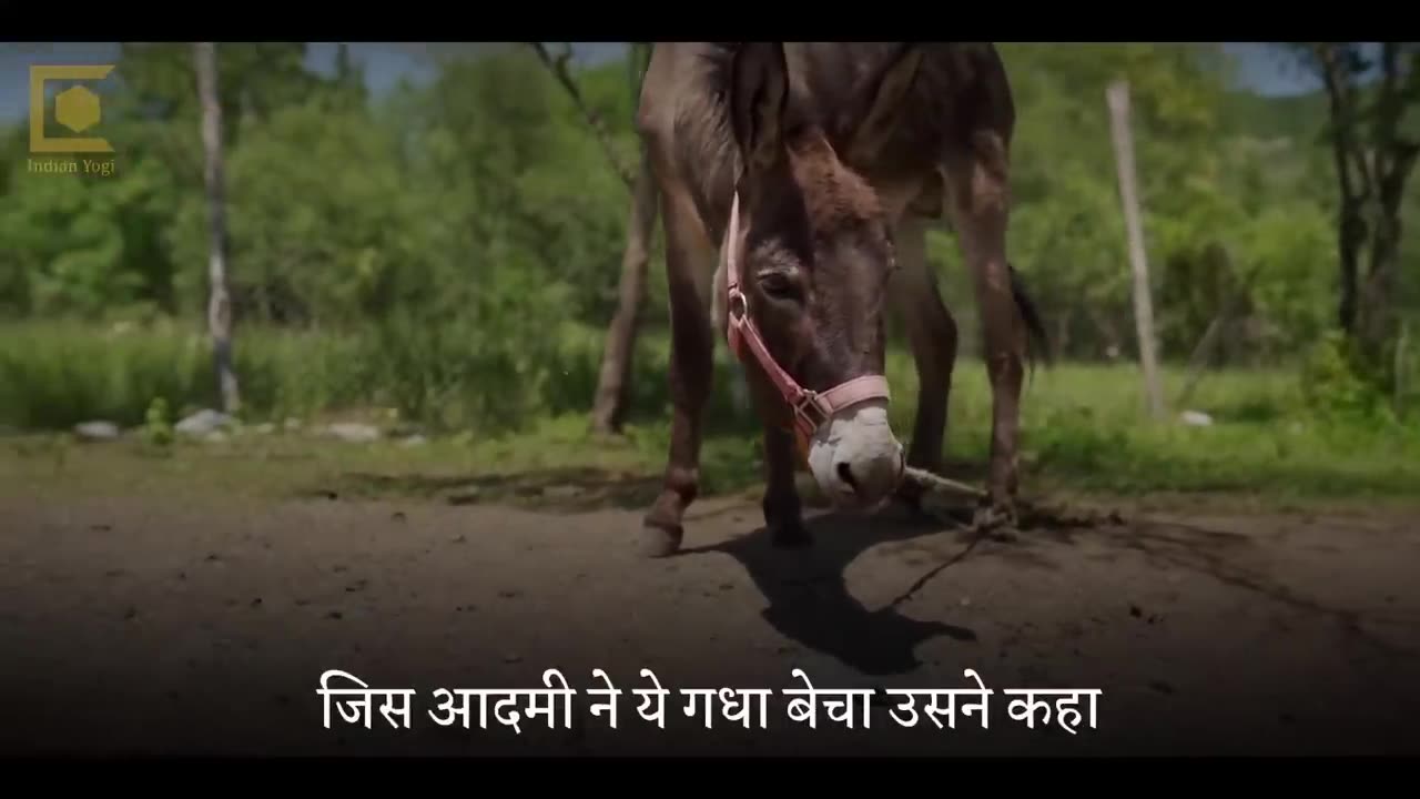 🔴 रात में देर से सोने वाले ये बातें जान लें _ Sadhguru on sleep _ Sadhguru Hindi