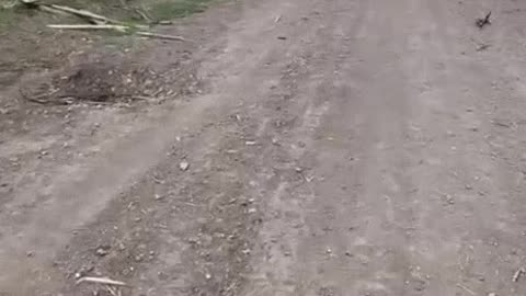 Video from a Russian Soldier's Phone(Unclear from When/Where)