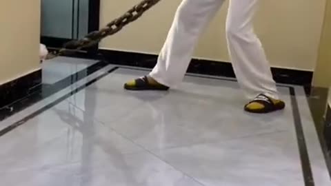 Funny videos