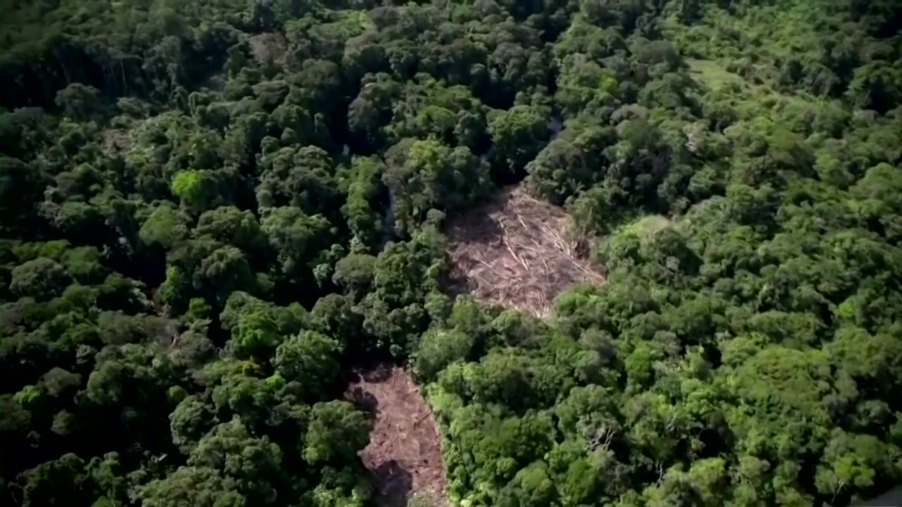 Brazil Congress votes to limit Indigenous land claims