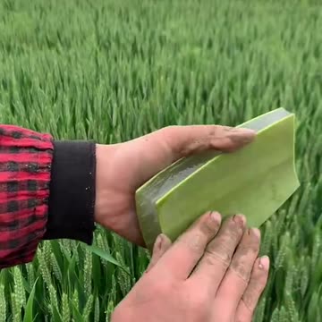 AMAZING BEAUTY HACKS WITH ALOE VERA