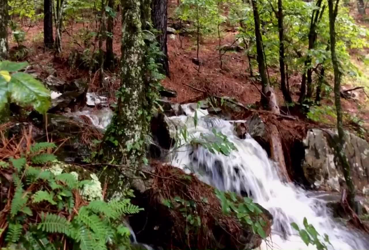 Chasing Waterfalls