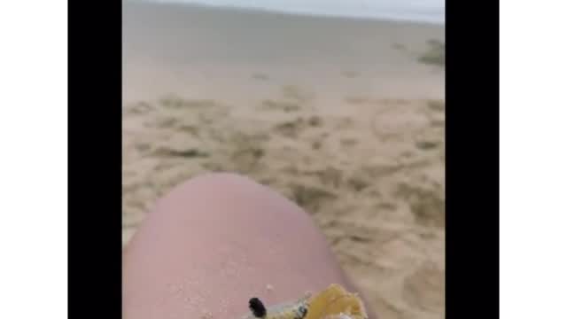 A LITTLE CRAB CASUALLY CLEARING SAND FROM IT'S EYES