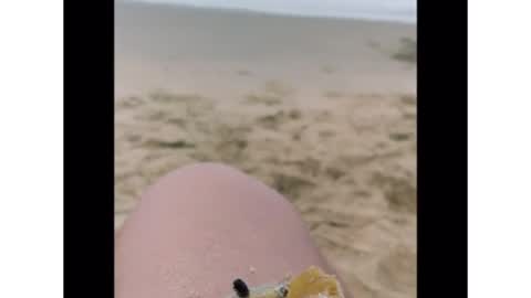 A LITTLE CRAB CASUALLY CLEARING SAND FROM IT'S EYES