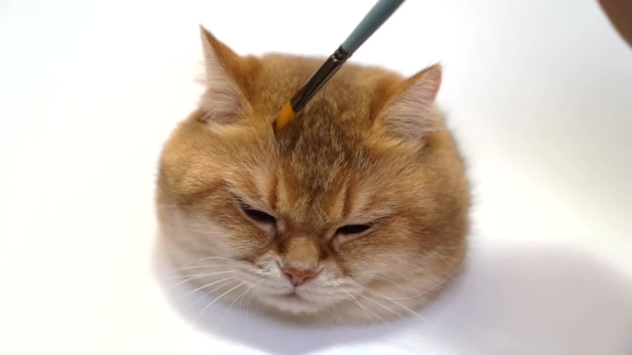 Painting Hosico Cat (Tips and Techniques)