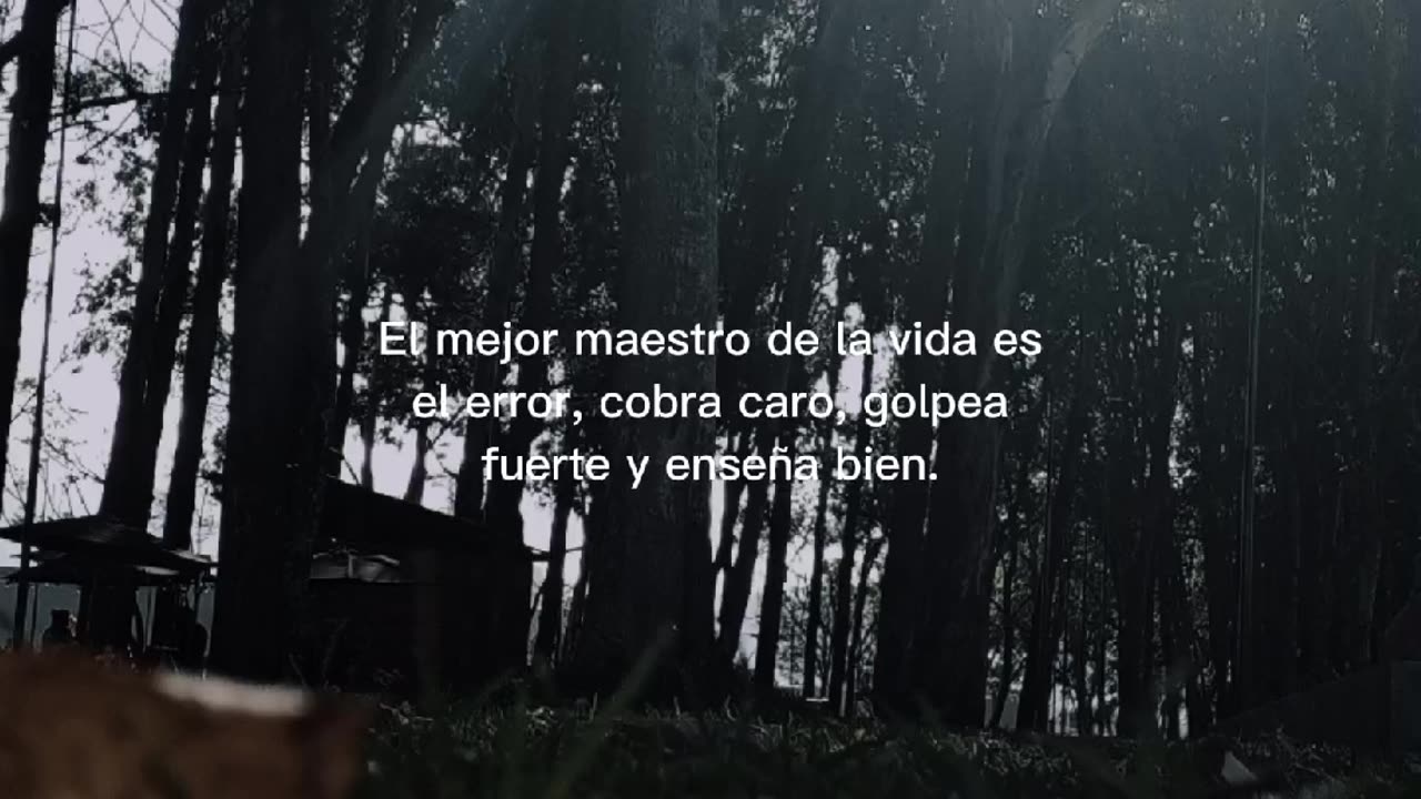 Frases motivación 🌛✨