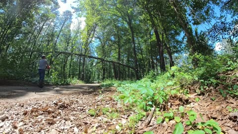 KaraBand My New 12 Inch Chiainsaw