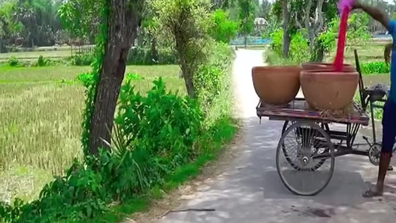 Video funny india