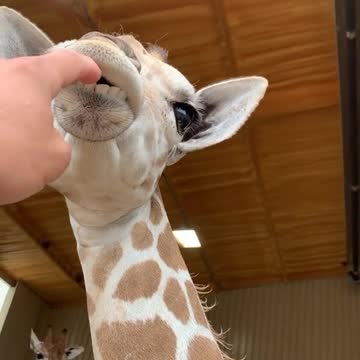 What are you lookin' at?!?