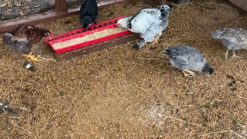 “New employees” eating breakfast