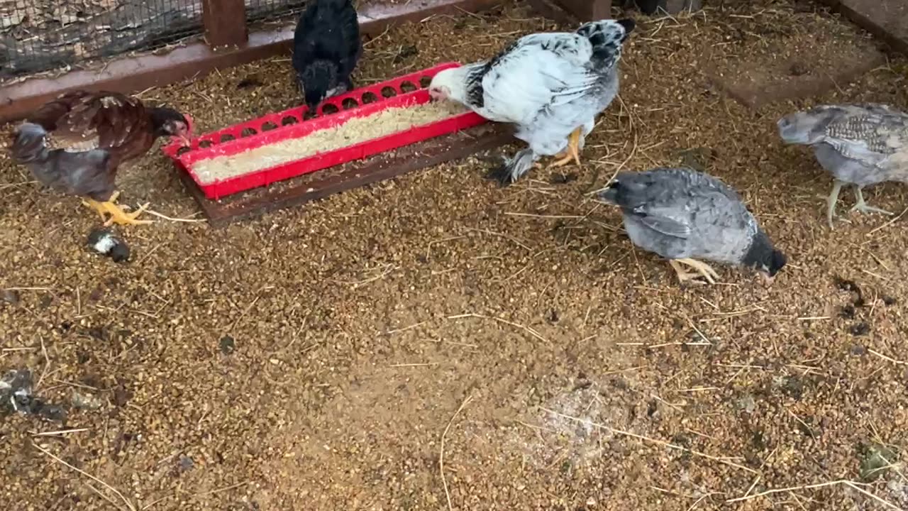 “New employees” eating breakfast