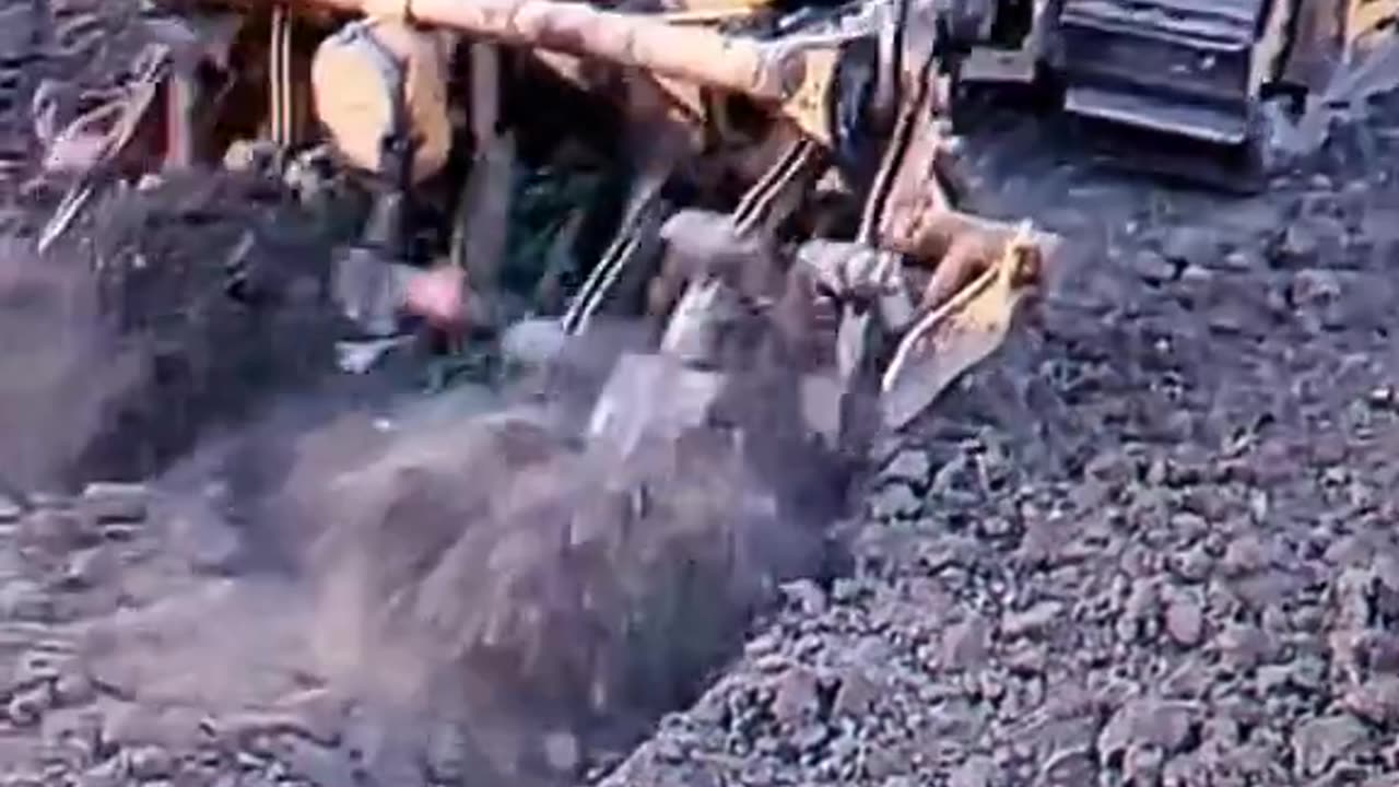 CRC vídeos curiosos