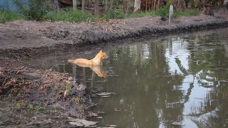 What are you doing in the pool