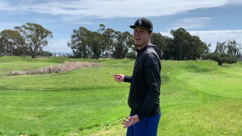 Friendly Farms Cartridge Review