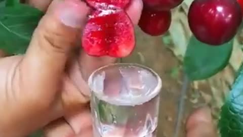 আল্লাহর অপরুপ সৃষ্টি