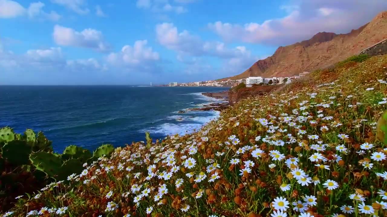 Beautiful Natue