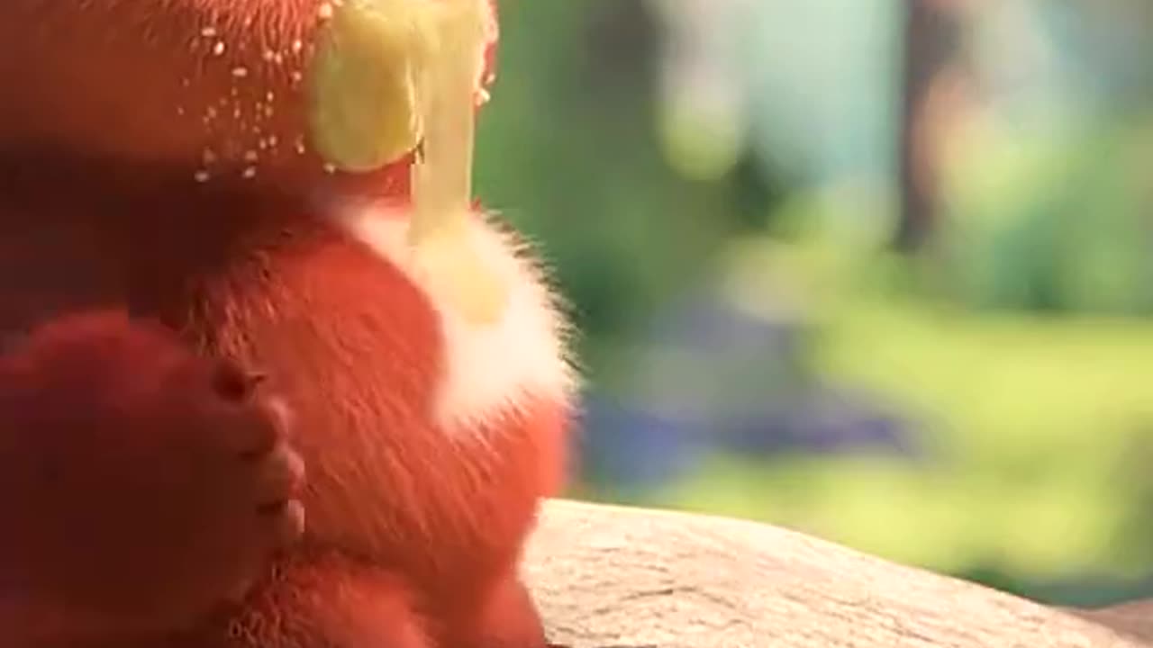 #movie funny video funny video #movie #Love #somalitiktok #baby #animals #cartoon