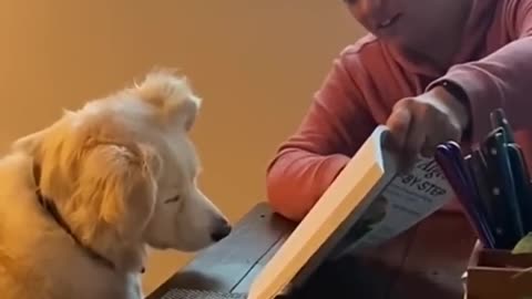 Dog reading