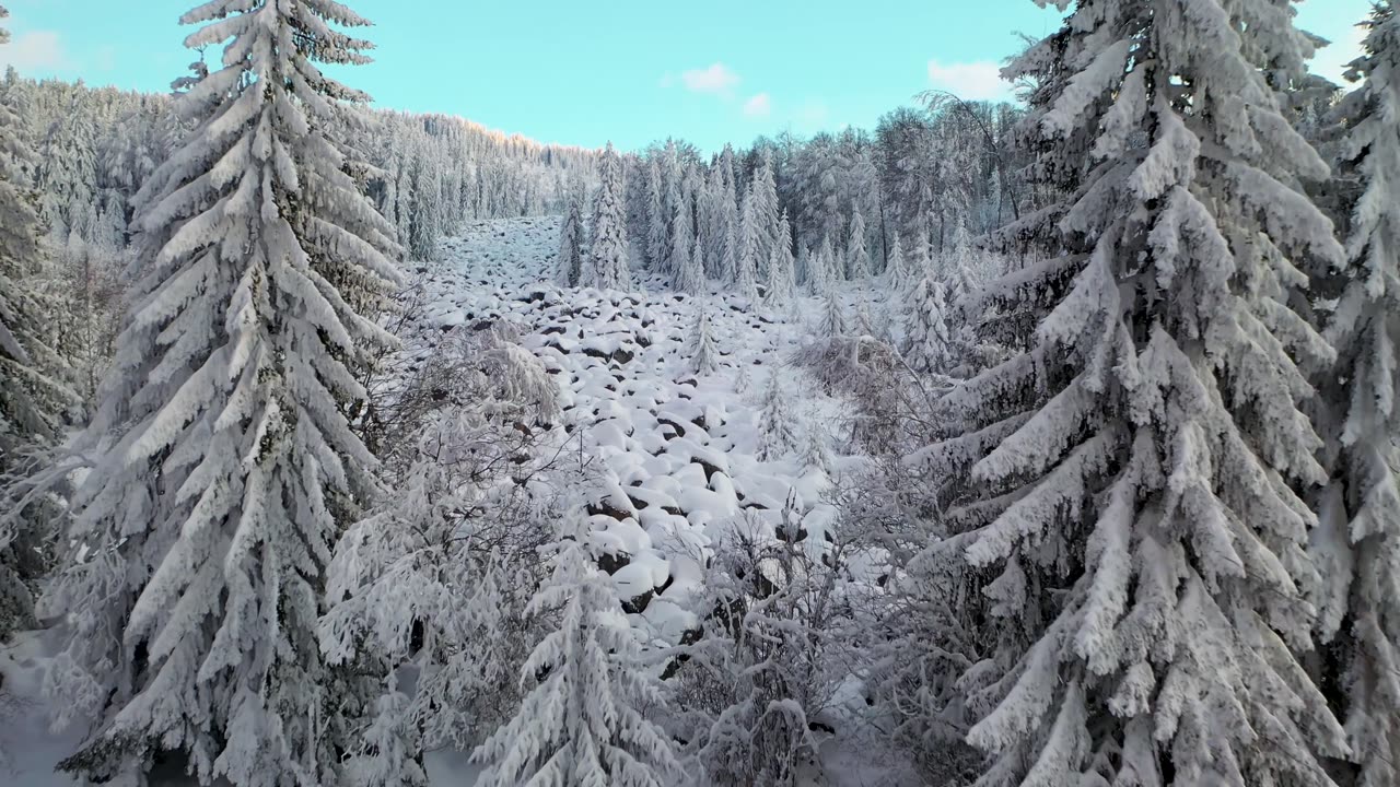 The Swowy Switzerland_Switzerland in 4k_Drone View