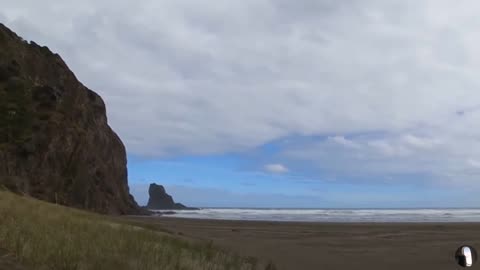 Anawhata Beach Auckland New Zealand Tour