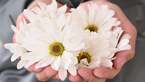 white flowers