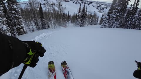 3/5 #2 The herd drops in the honey hole
