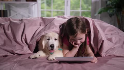 Cute elementary age child watching cartoon on tablet in nursery together with golden retriever puppy