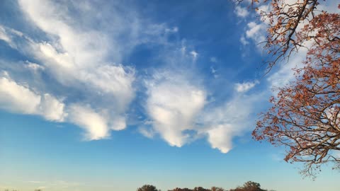 Cool skies
