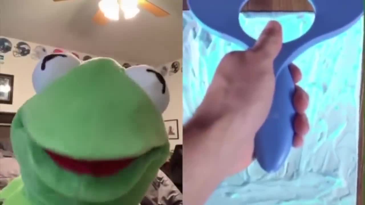 FUNNIEST VIDEOS October