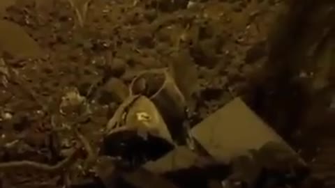 Ukrainian UAV crashes in… Croatia?