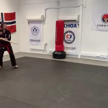 Hapkido Long Pole Techniques