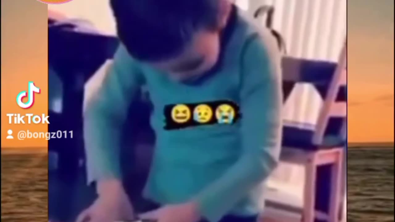 Funny Boy will know what to play with next time.