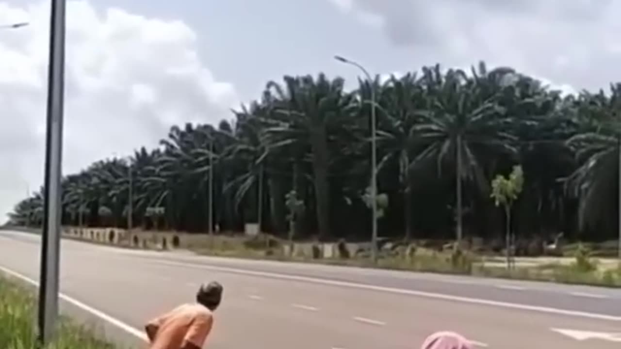 Guess car speed??