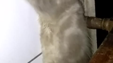 #funny