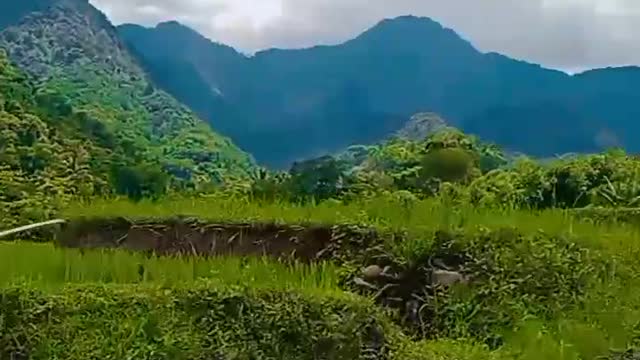 Drive to ward the mountains