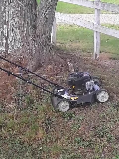 Mowing over a underground yellowjackets nest 😳