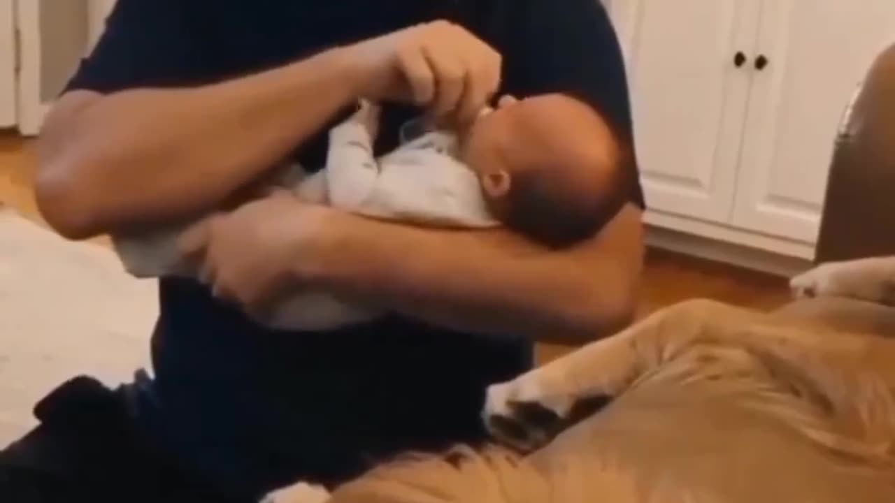 Connection between baby & dog